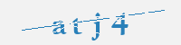 보안문자